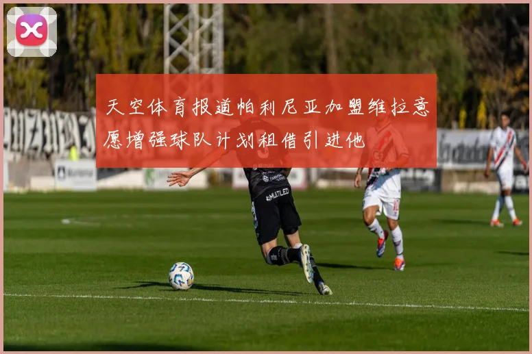 天空体育报道帕利尼亚加盟维拉意愿增强球队计划租借引进他